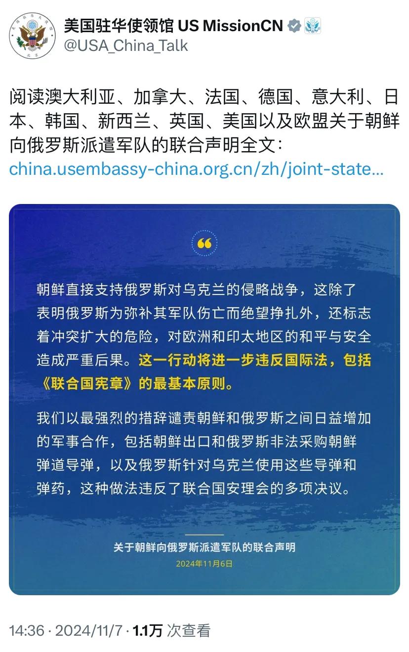 美国驻华使领馆今天（11月7日）转发了澳大利亚、加拿大、法国、德国、意大利、日本