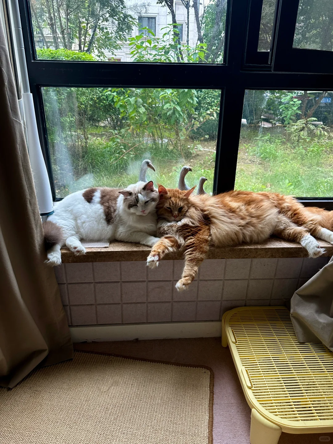 一些小美好❤️