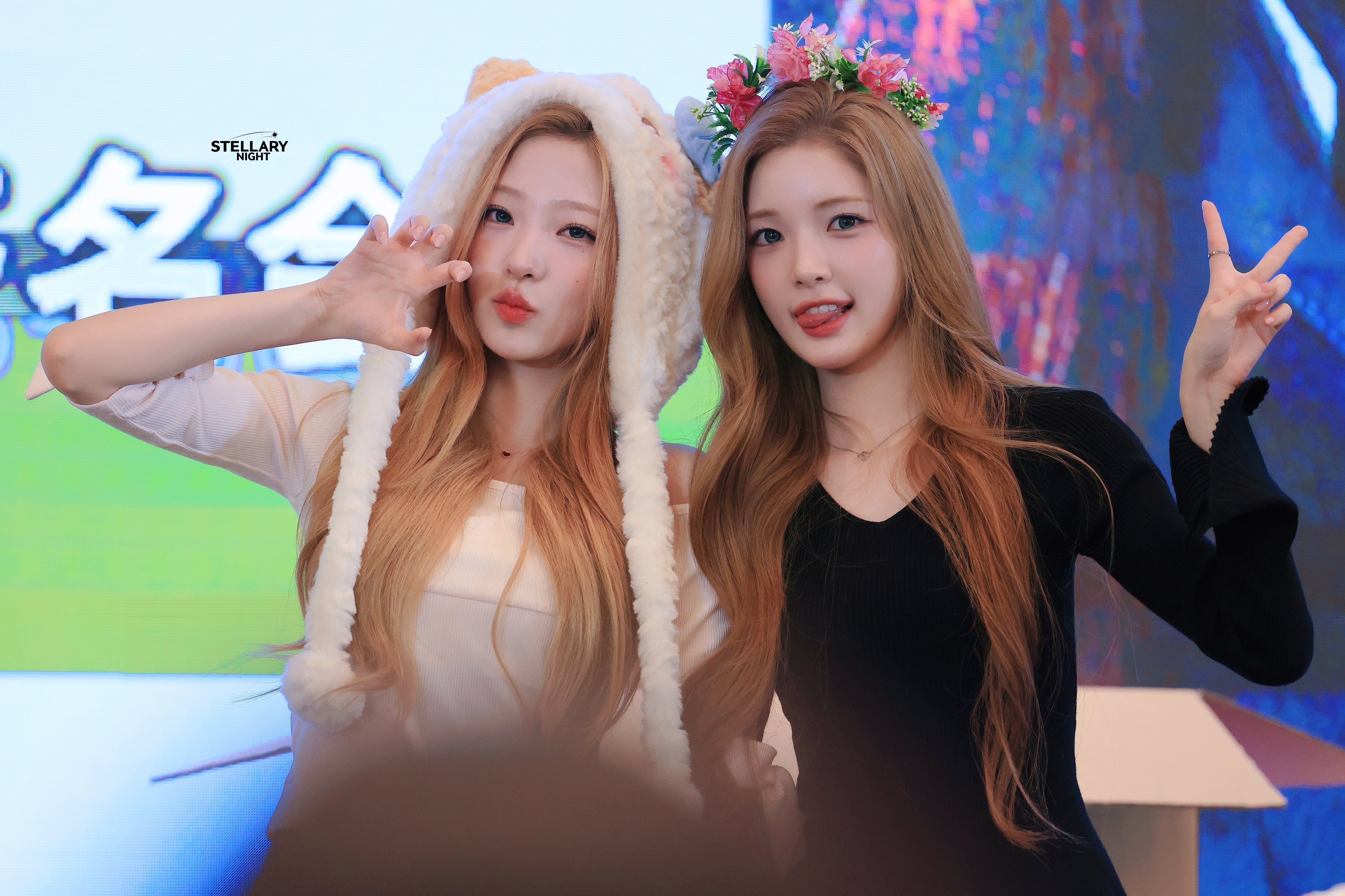 金毛狐狸和金毛小兔.StellaryNight 