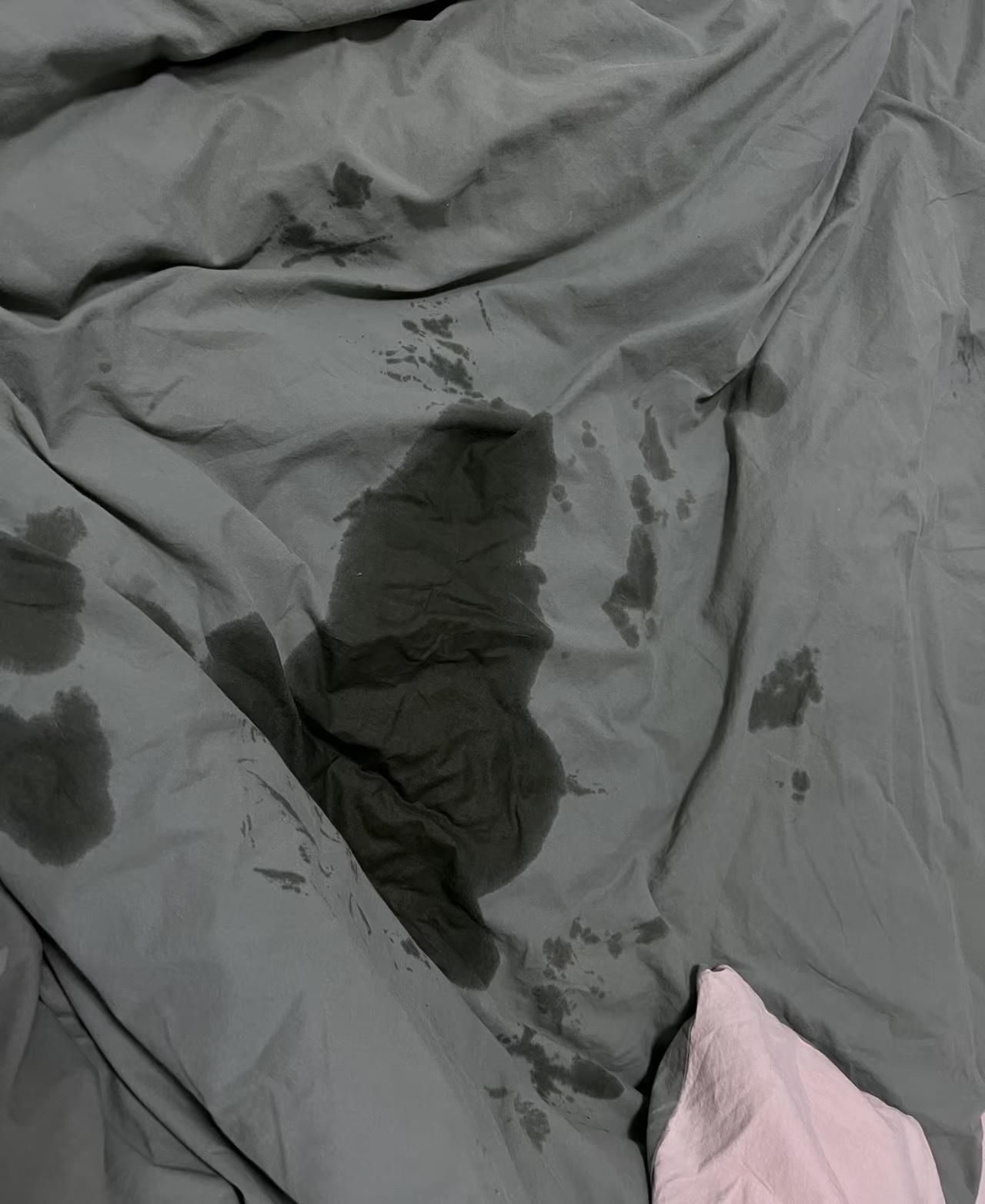 一直很乖的小母猫最近发情了尿湿三张床，整夜嚎得跟哭似的，听得人心都碎了，想送去绝