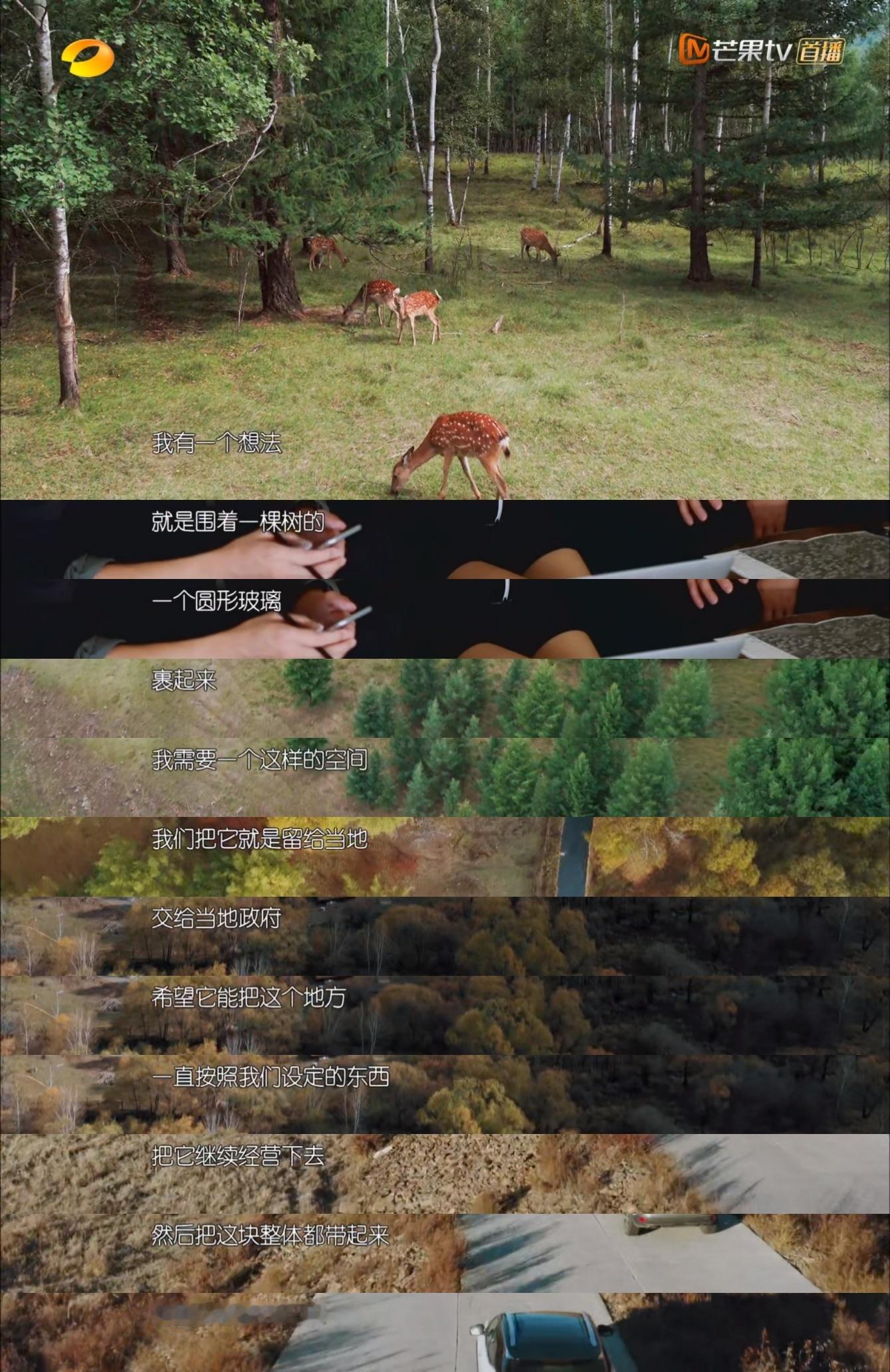 后来刘涛的充电堡成了央视新闻报道阿尔山靠旅游致富的视频封面～ 