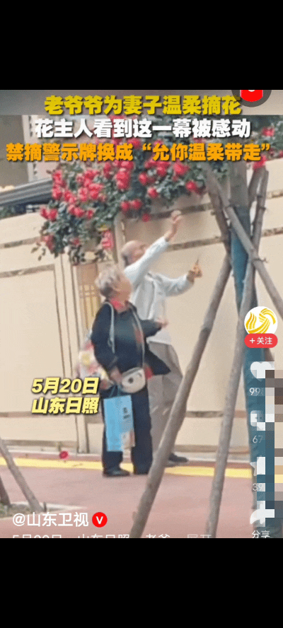 太温暖了！摘花人和种花人！
山东日照，女生家里靠墙种的花长势喜人，伸出了墙头，怕
