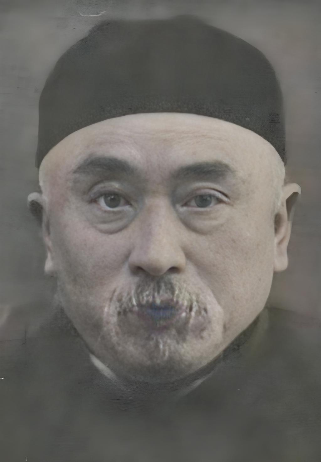 1910 年，上海滩一位留长辫的中医写了小说，书中借一场梦境写出未来中国收回全部