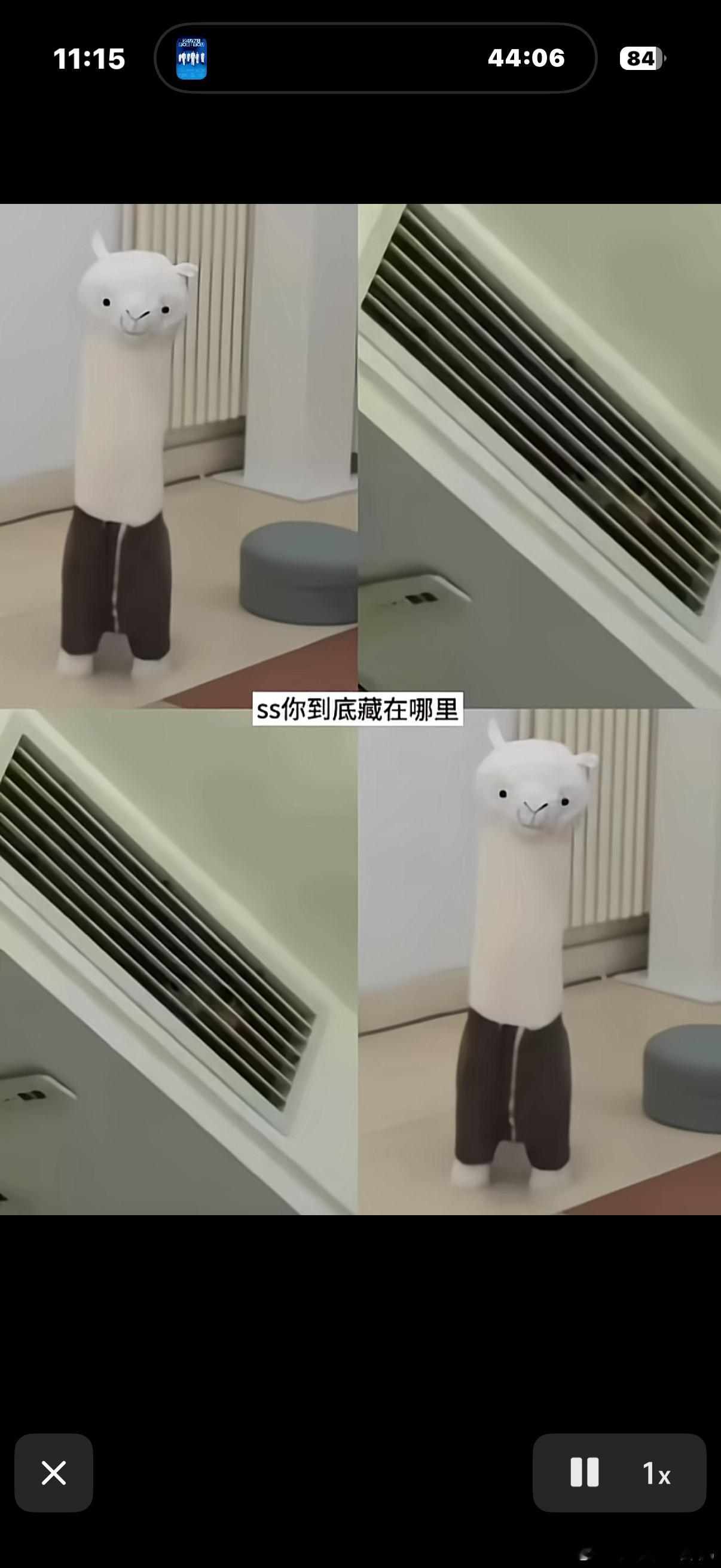 刷到这个 给我吓死了