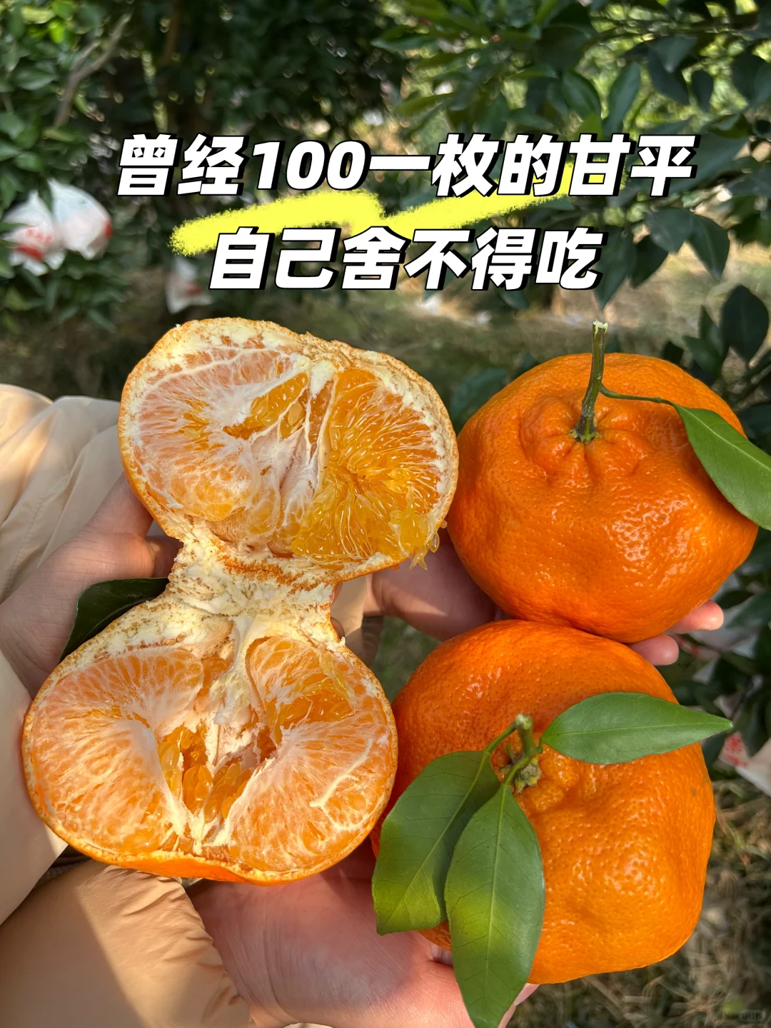 自己可以不吃！爸妈必须送！😅