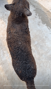 ？？？？？？？ 