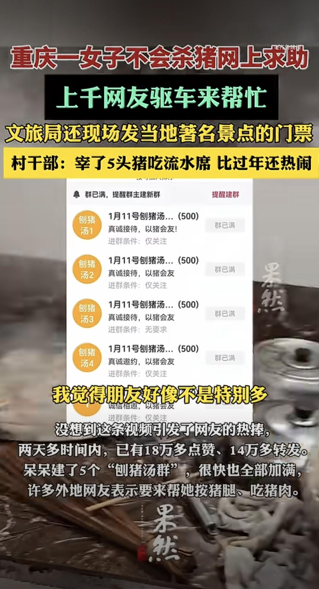 重庆合川有位网名叫“呆呆”的姑娘，最近因为一条求助视频成了全网焦点。她家养了两头