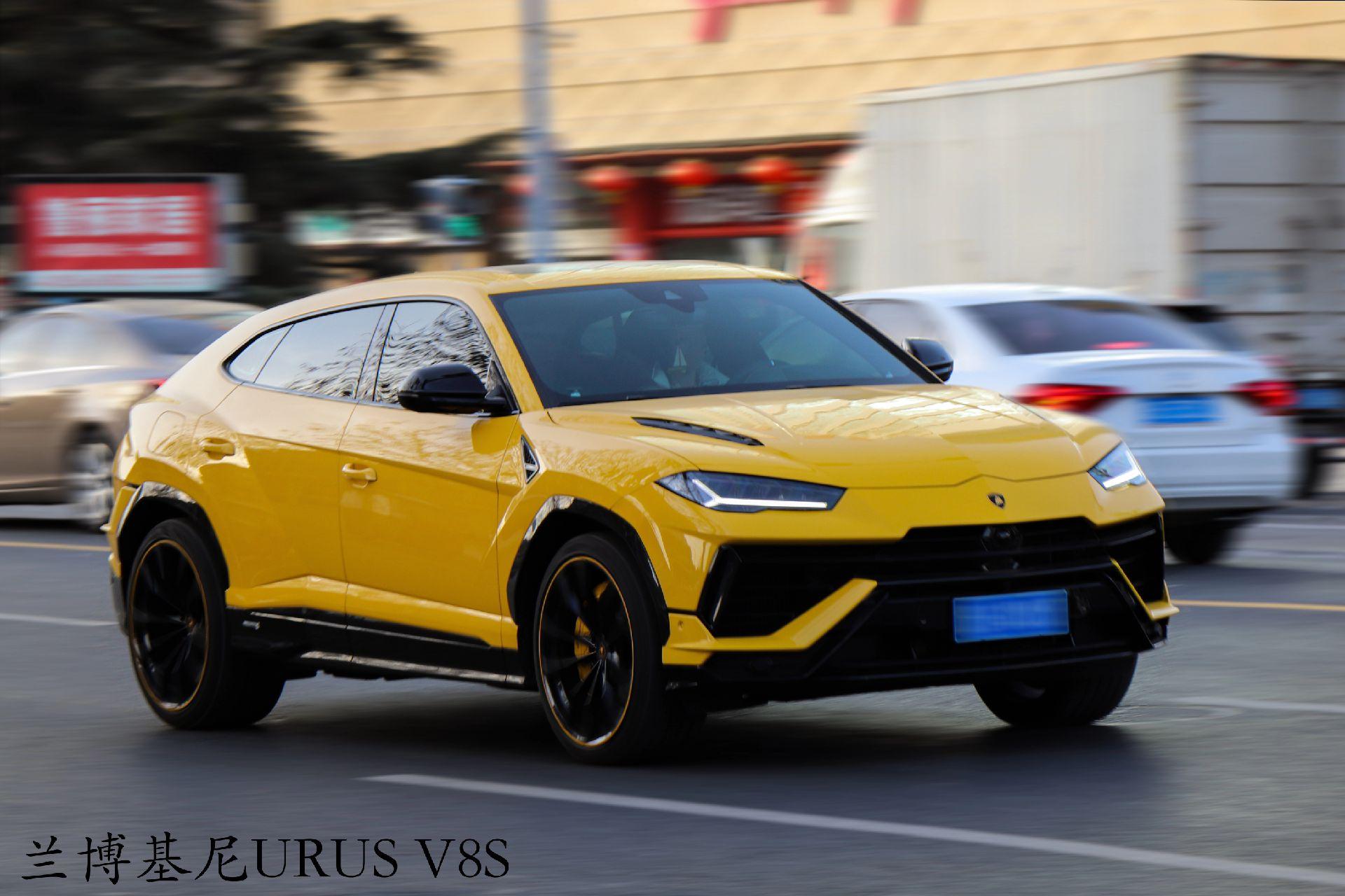 寿光东城汽车街拍，大黄牛兰博基尼urus登场，气场无敌