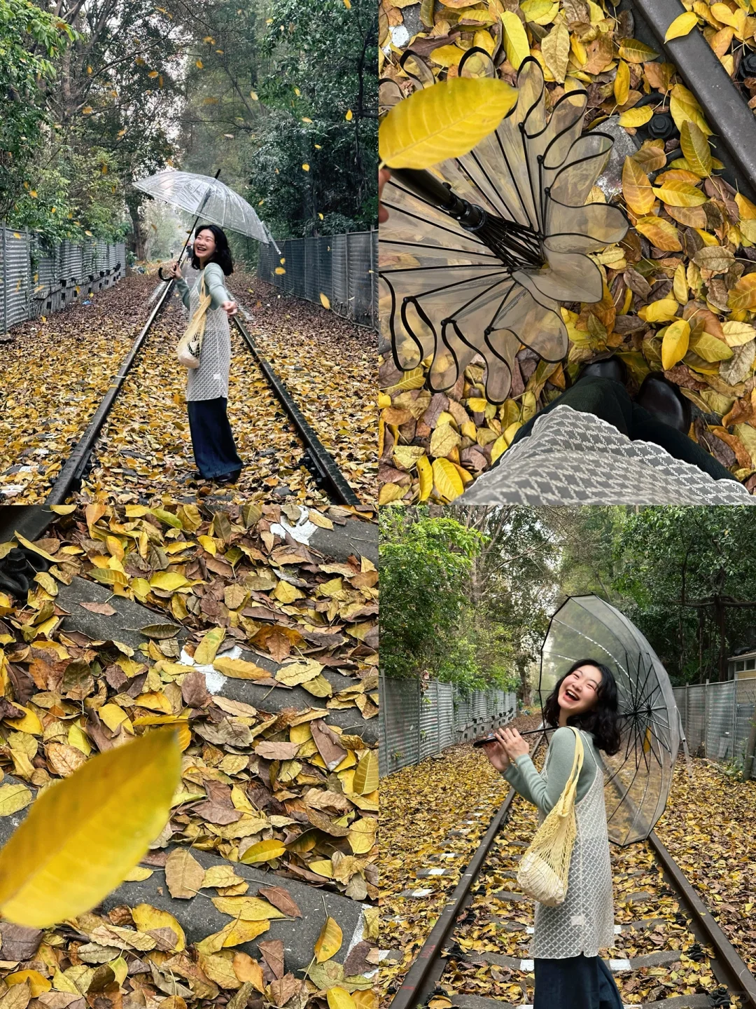 广州春日浪漫🍂雨中走在铁轨赏黄叶飘落！