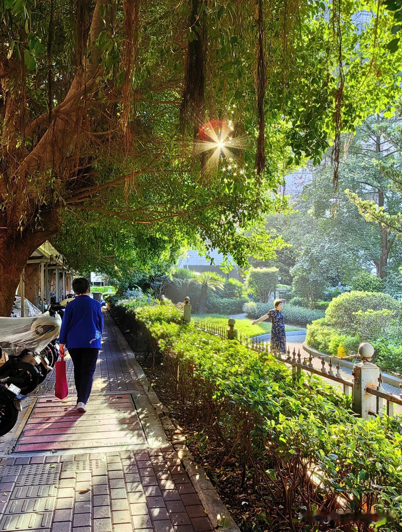 广州越秀区的早晨。
#手机随拍，随手拍的风景照#