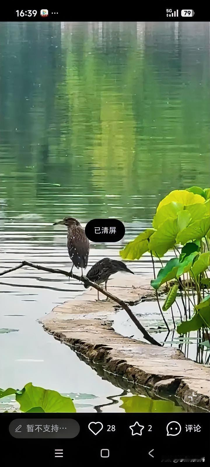 这两天我和老公闹矛盾，已经冷战整整一个星期，两个人谁都不肯开口。我心里满是委屈，