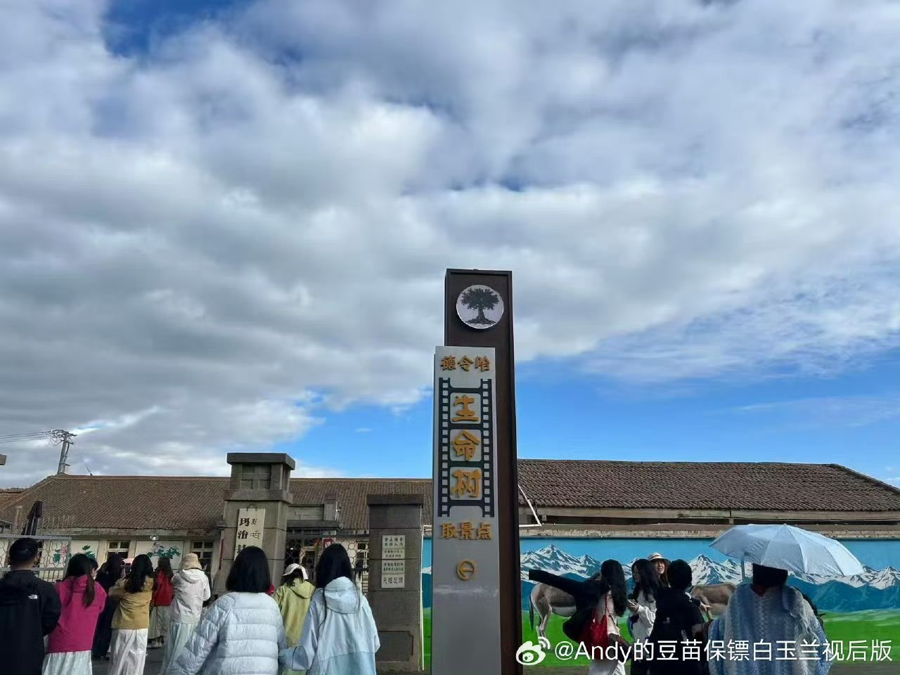 生命树真的爆🔥:因为杨紫，再去一次青海