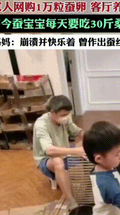 全家为娃圆梦！一万多条蚕霸占客厅，只为一床手工蚕丝被
 武汉六岁小朋友有个暖心心