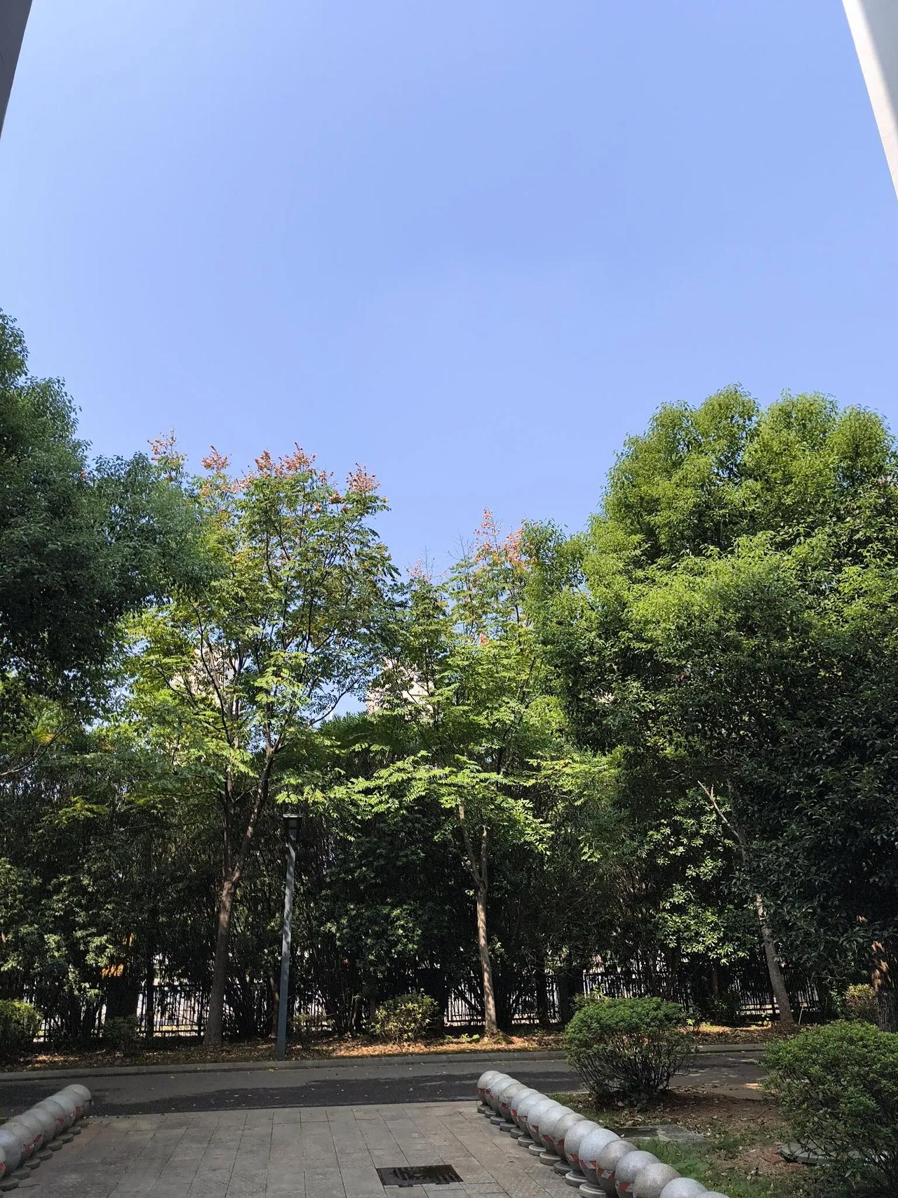 校园一角