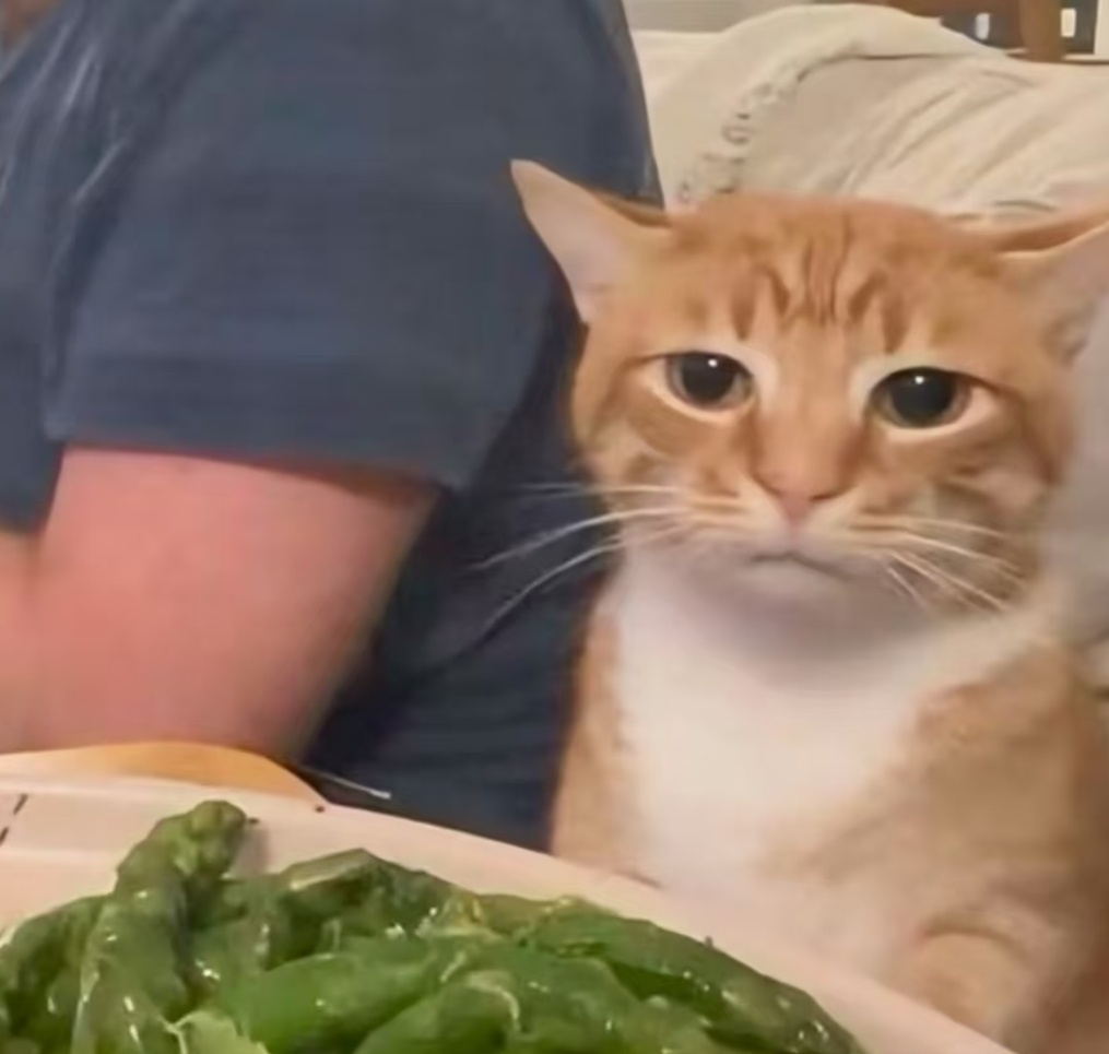 【昆虫不吃肉是咋凑齐氨基酸的？】在早期进化中，动物失去了合成20种蛋白质基本组成