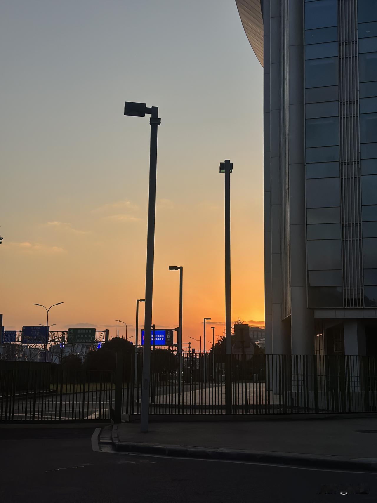 见的人越多，越喜欢狗！！！