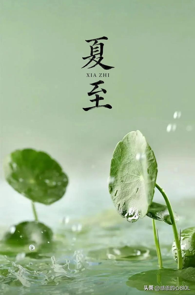 夏至恰逢父亲节，思念长眠的老父亲

今日夏至，白昼最长，
又撞上父亲节，双重的日