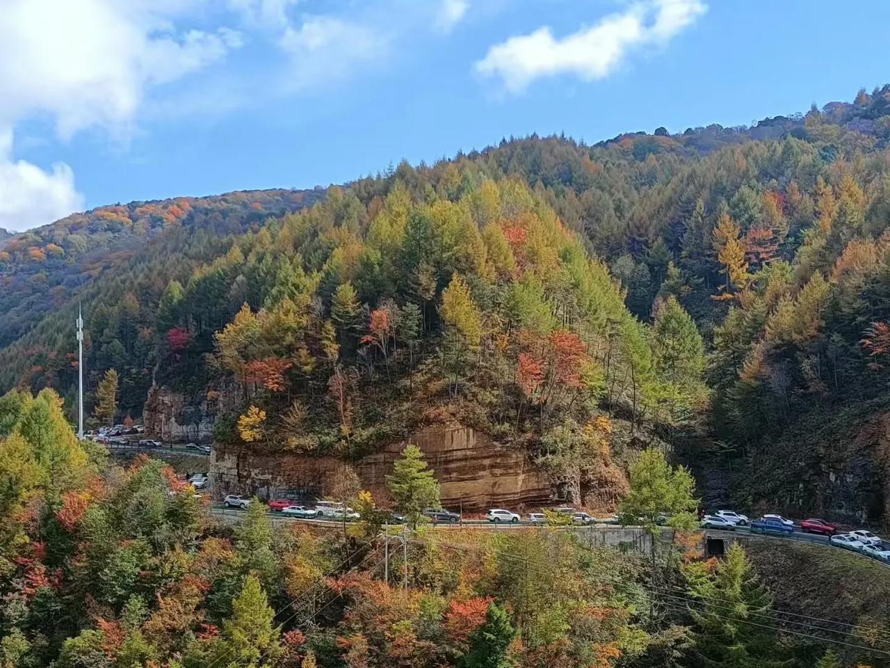  
💥探秘旺苍光头山红叶节，美到窒息！💥

各位友友们，今天来给大家分享一下