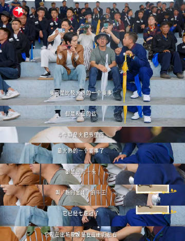牛和马的身价比牛马高  看了最新一期的听谁在唱歌，真心被赛场上的牛王震撼到了。3