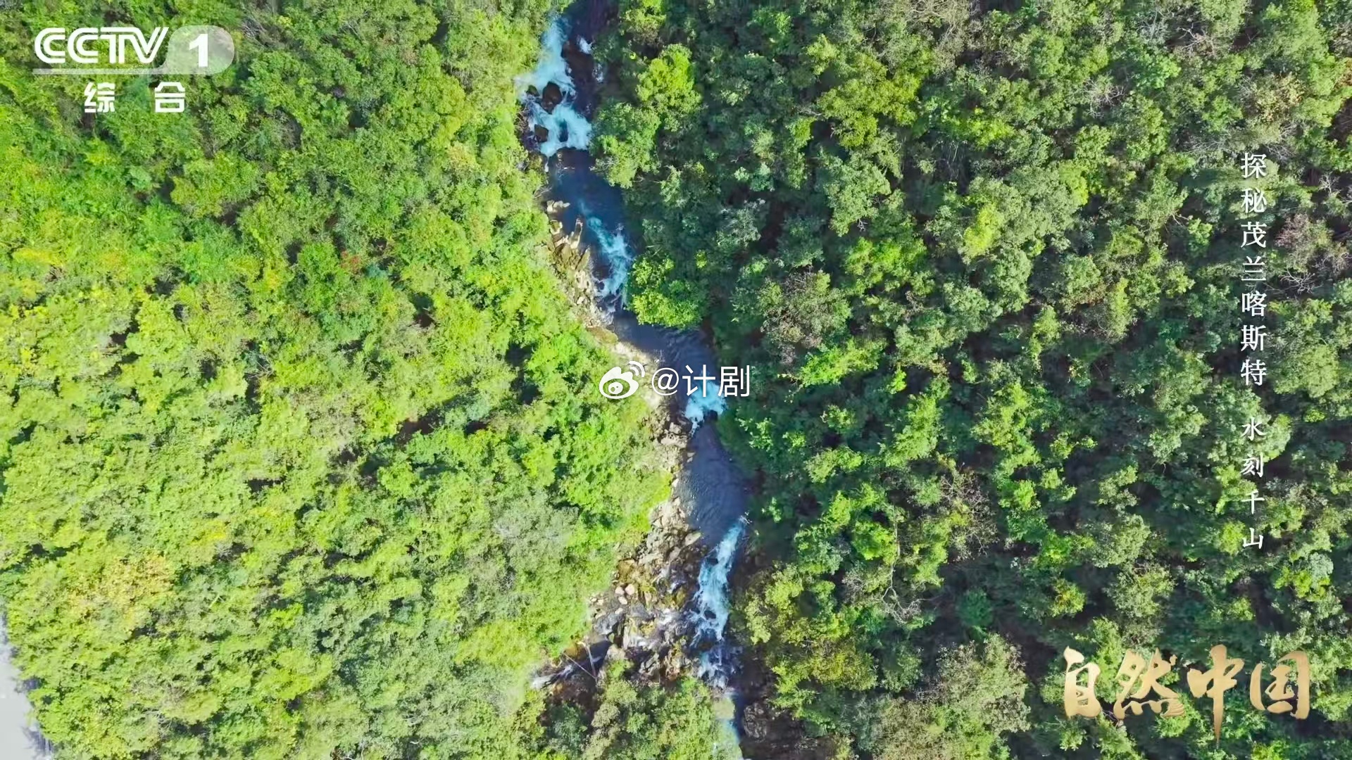 原来贵州曾是大海贵州山顶发现亿万年前珊瑚化石 喀斯特地貌的形成原料是亿万年前的海