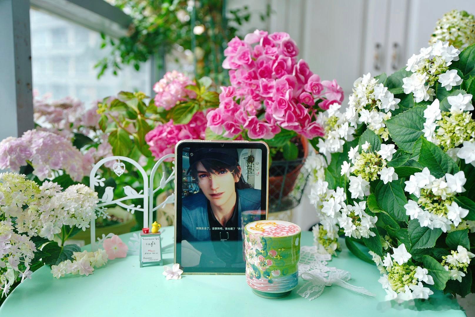 早(๑ᵕ ㉦ ᵕ๑)ฅ ♡绣球观赏的这些粉、蓝、白的部分其实是特化的花萼，花是中
