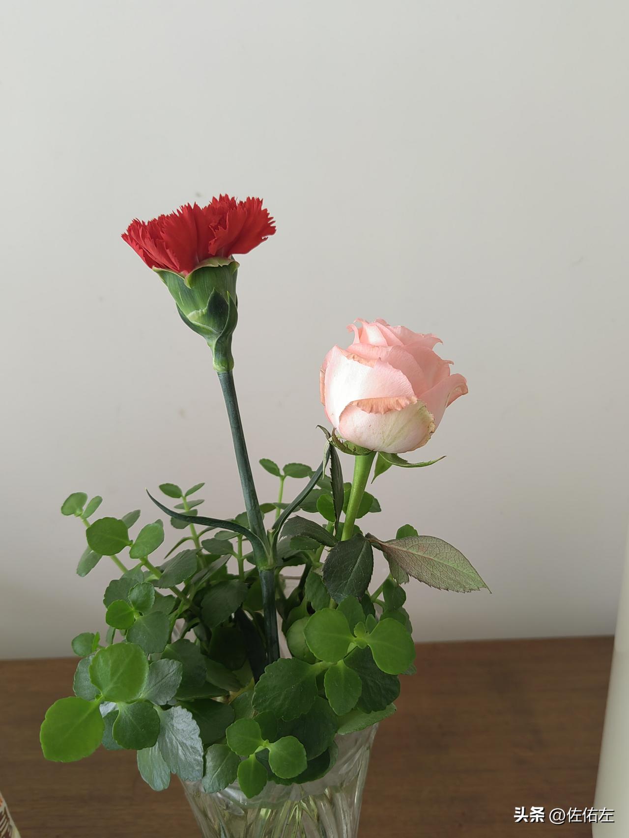 一年一度三月八，一年一次节日情。
三月六日，周五，单位组织女工公园健步踏青，拥抱