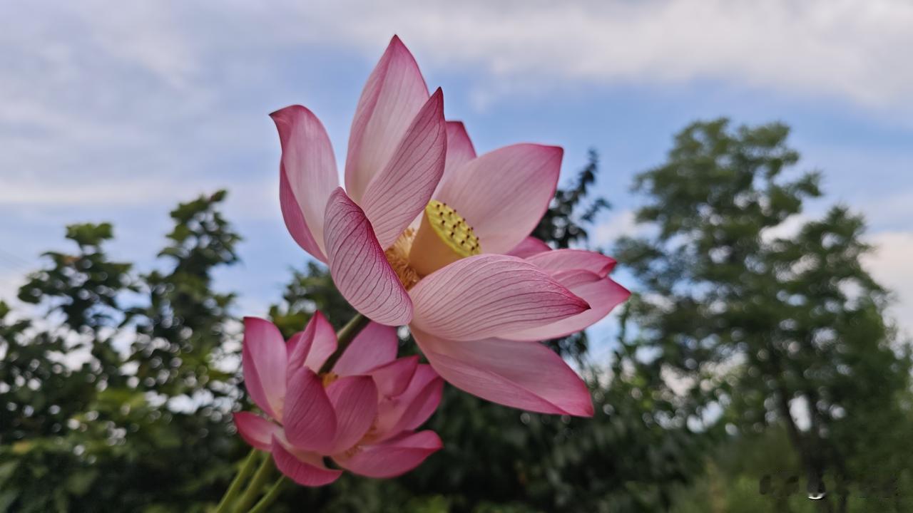 如今这个时代，我们跟人相处，要以和为贵 ，尽量不结仇怨。
尤其是在面对看你不顺眼