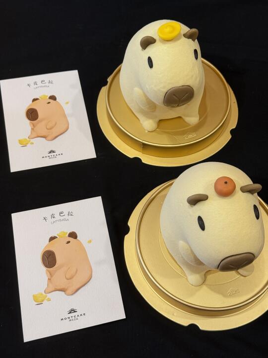 西安终于也有了😭😭巨可爱的！！！
