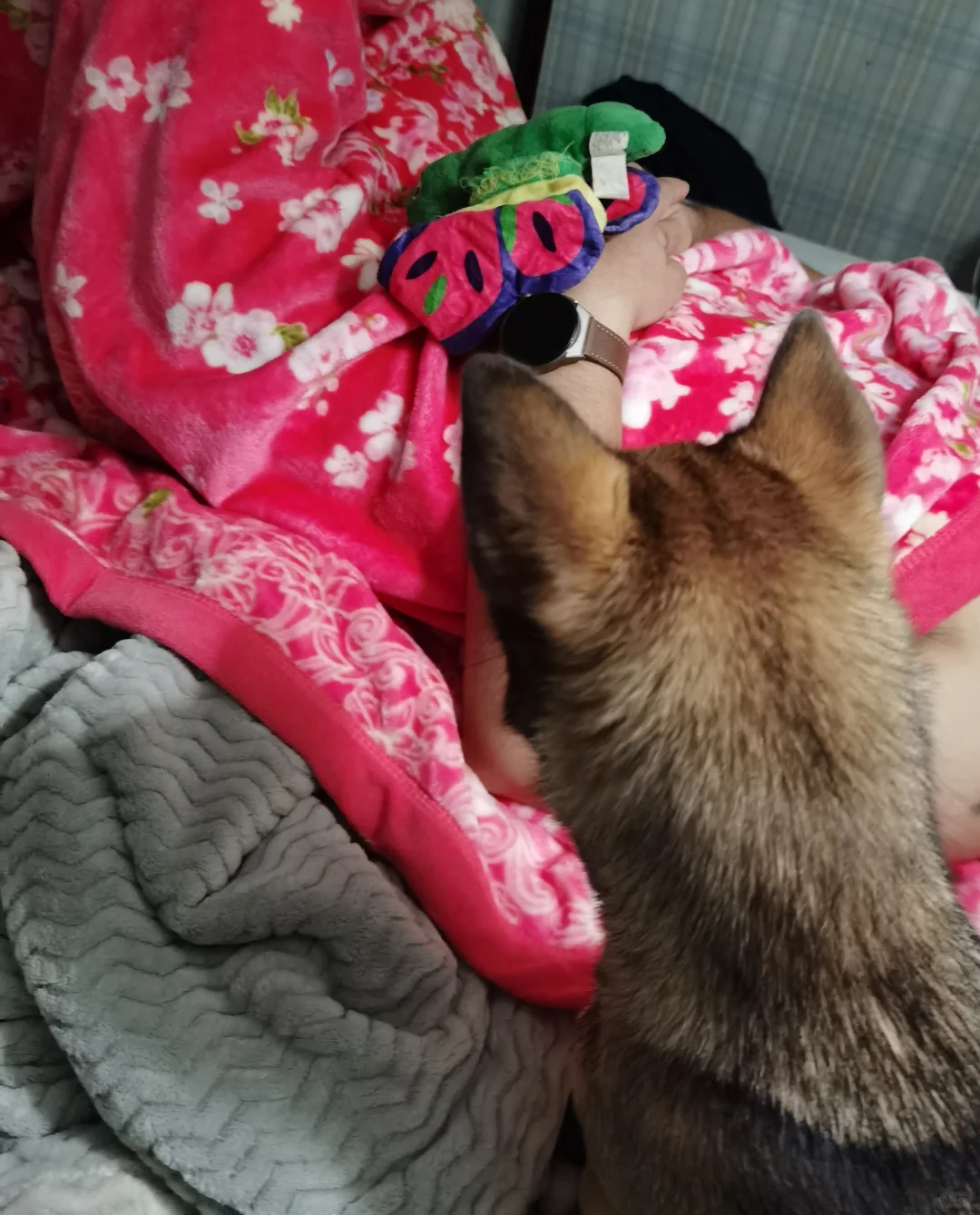 妈咪酱，我的父亲是死掉了吗？