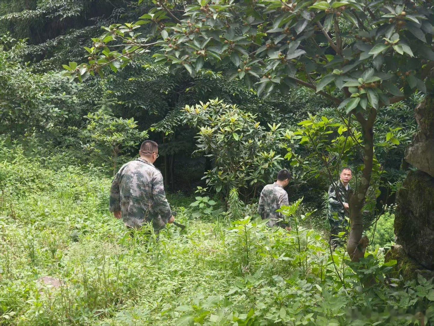 一代代林场人接力守护把荒山变青山在临海，有一片7.89万亩的林海——临海林场，森