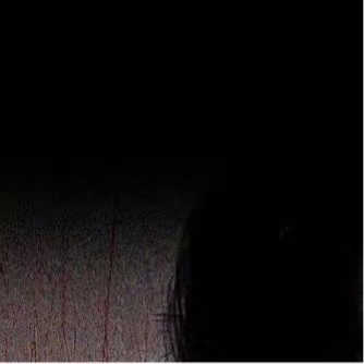 0000古语有言勿以善小而不为，真正的善意从不需要宏大的付出。世间温暖藏在无数细