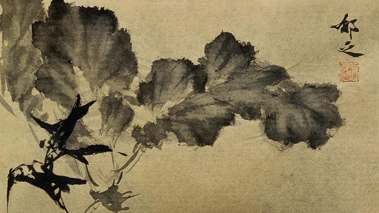 小白菜呀