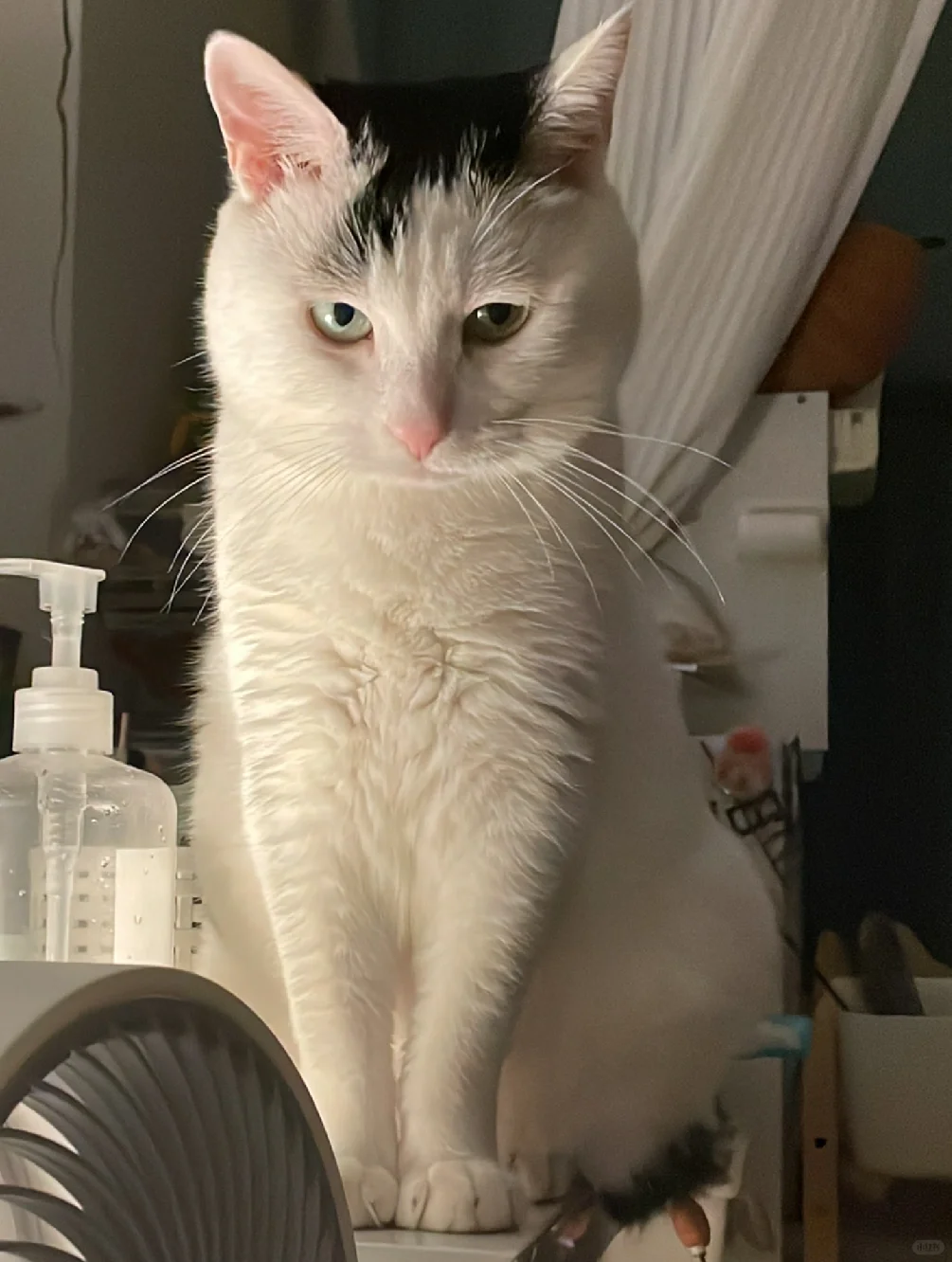 生气了、哄不好的那种