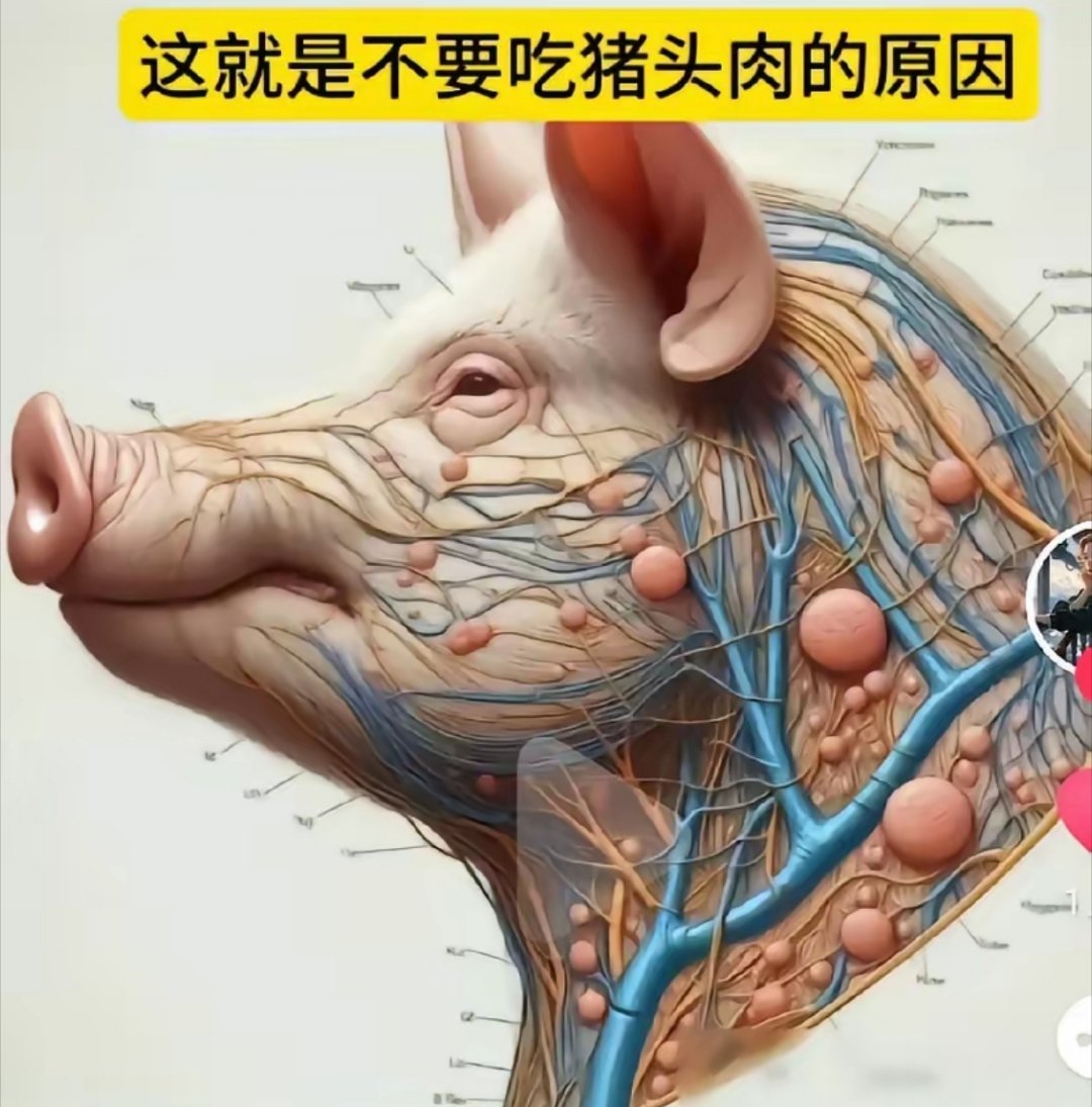 我最爱吃猪头肉了刚才看到一个博主说不能吃猪头肉就附了一幅这样的图我想问，为啥不能
