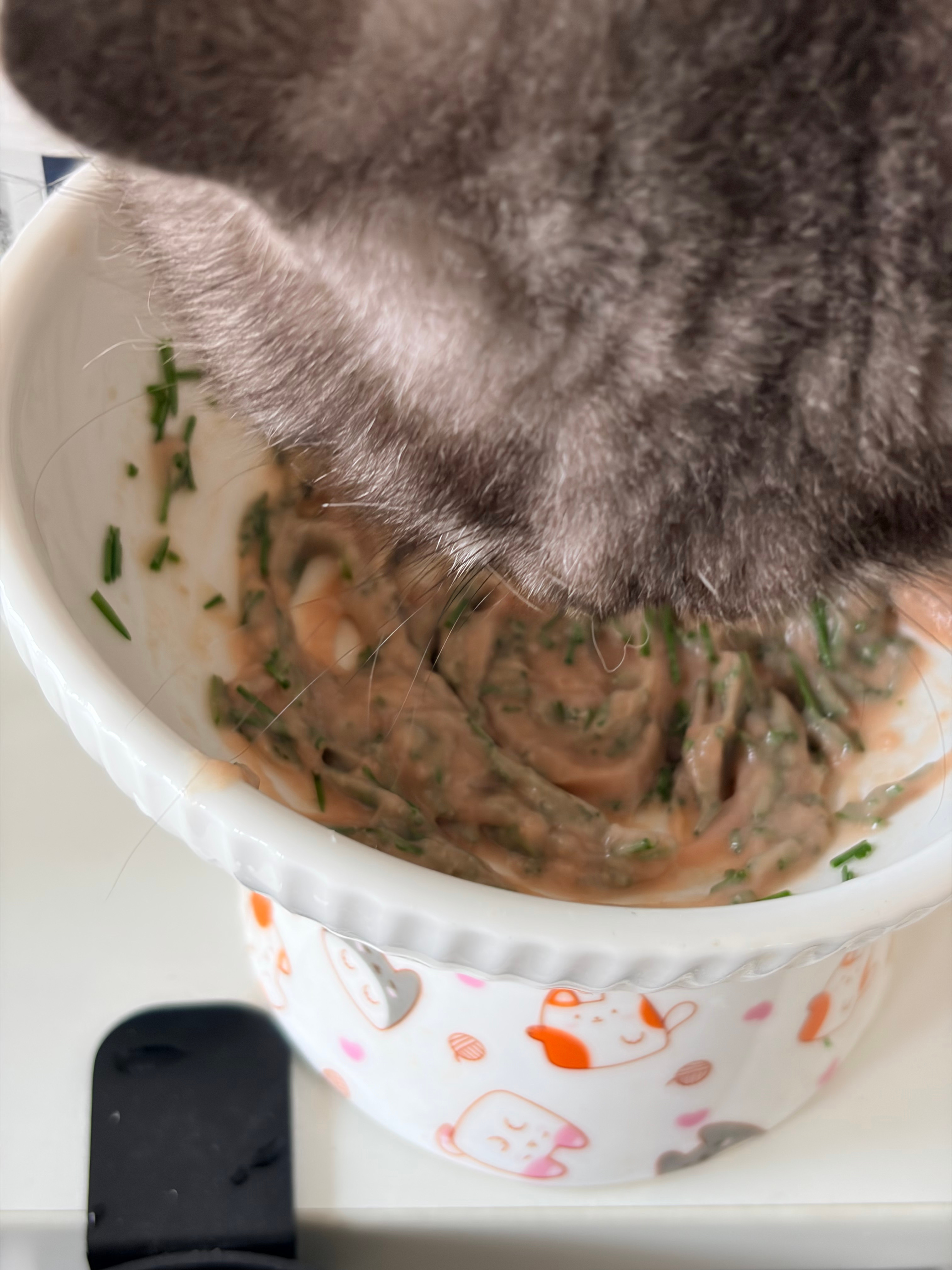 猫草拌猫条香喷喷 