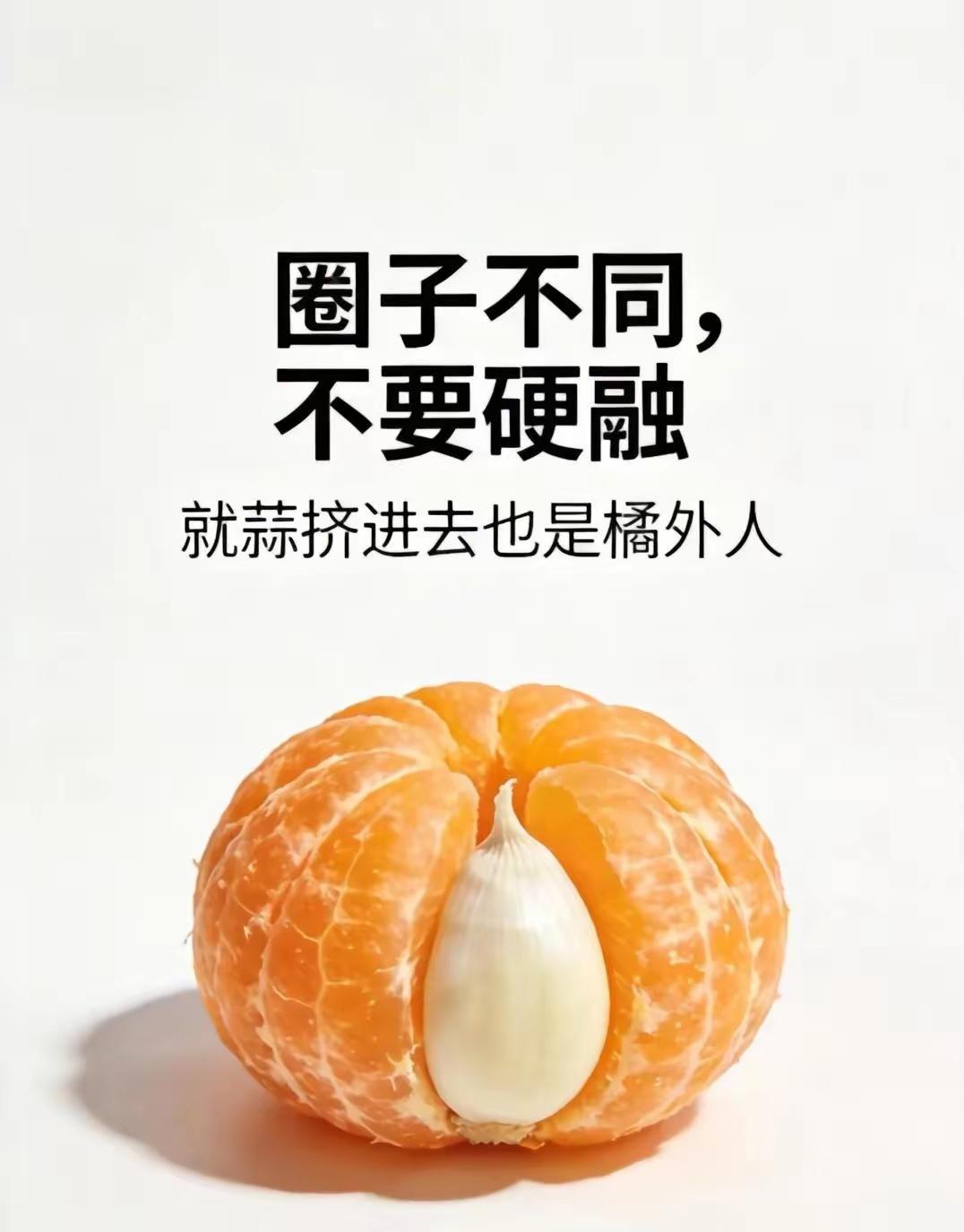 深有体会，圈子不同，真别硬融！就像那梗图里的大蒜，就算塞进橘子堆，也还是局外人。