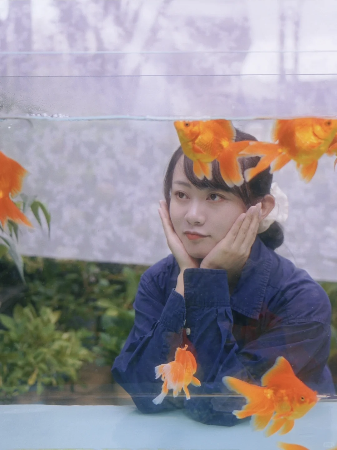 🐟鱼说：咕嘟咕嘟咕嘟？孤独孤独孤独！