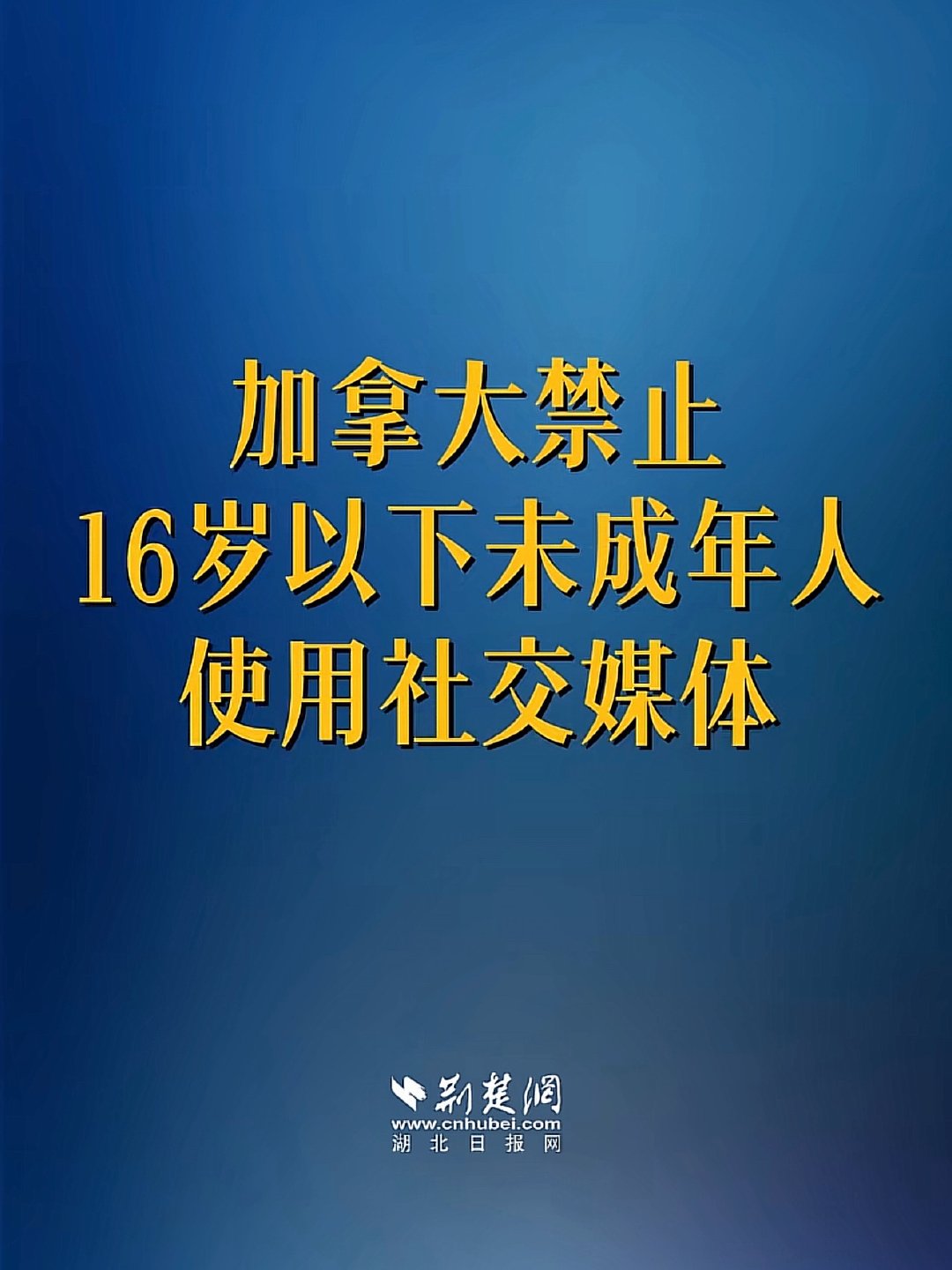 我同意全世界16岁以下禁止使用 