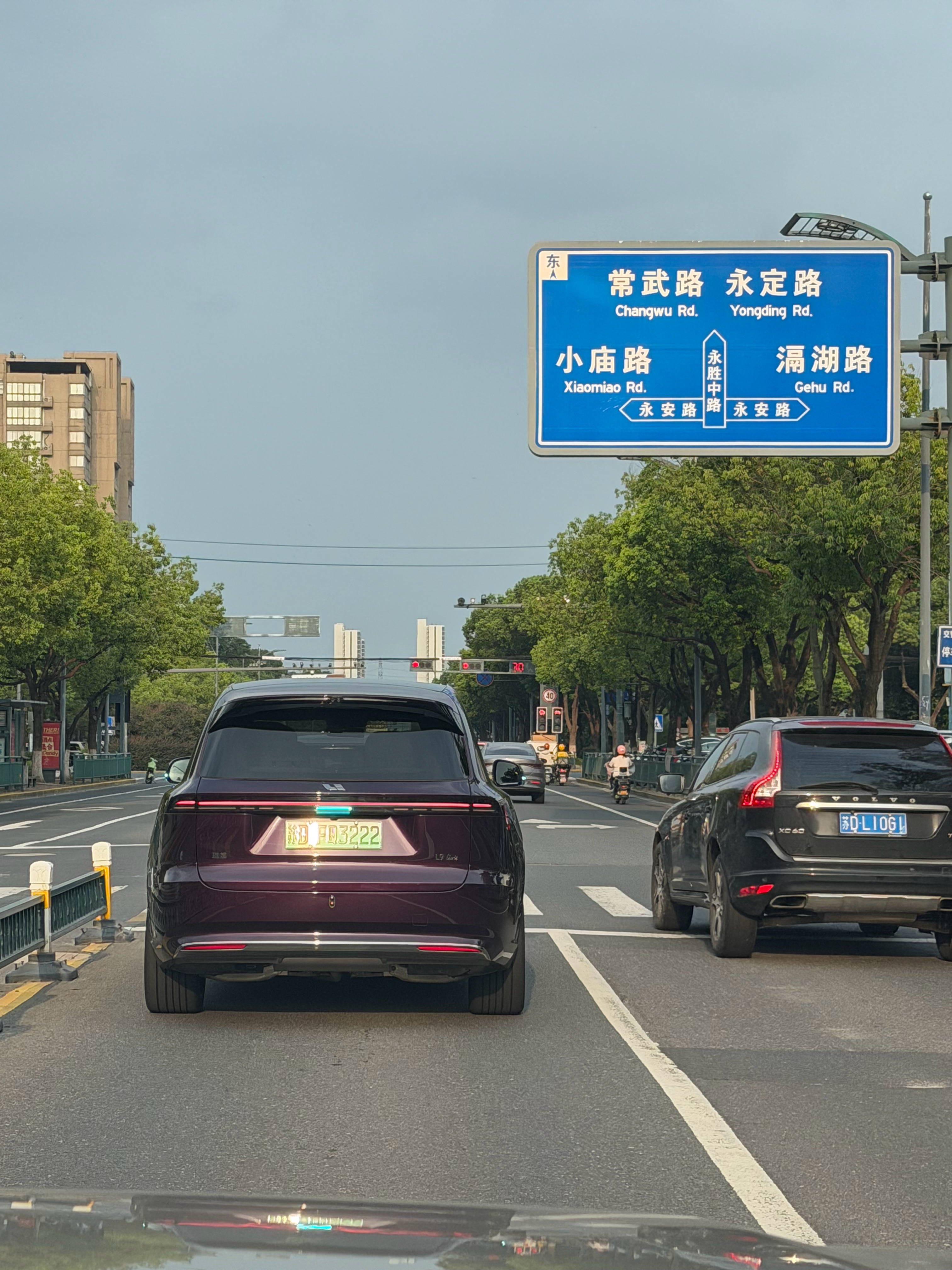 来L9的老家遇到全紫L9Livis这是我第二次看到全紫Livis第一次是在杭州我