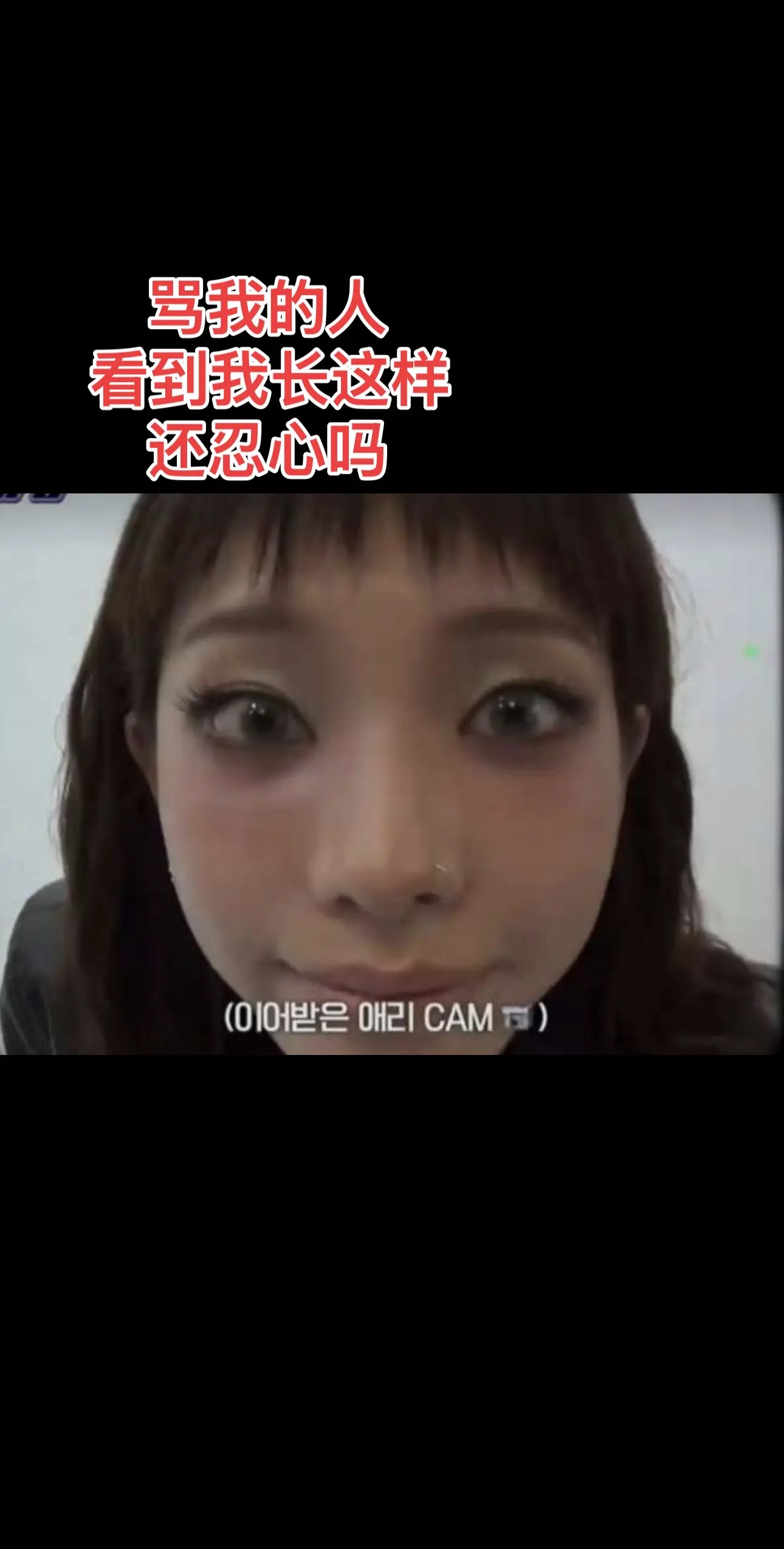今天是可爱智敏啦🐶