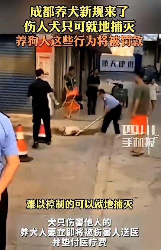 成都这回动真格了：狗咬了人甭管谁挑事，你先掏钱垫医药费

5月27日，成都出台了