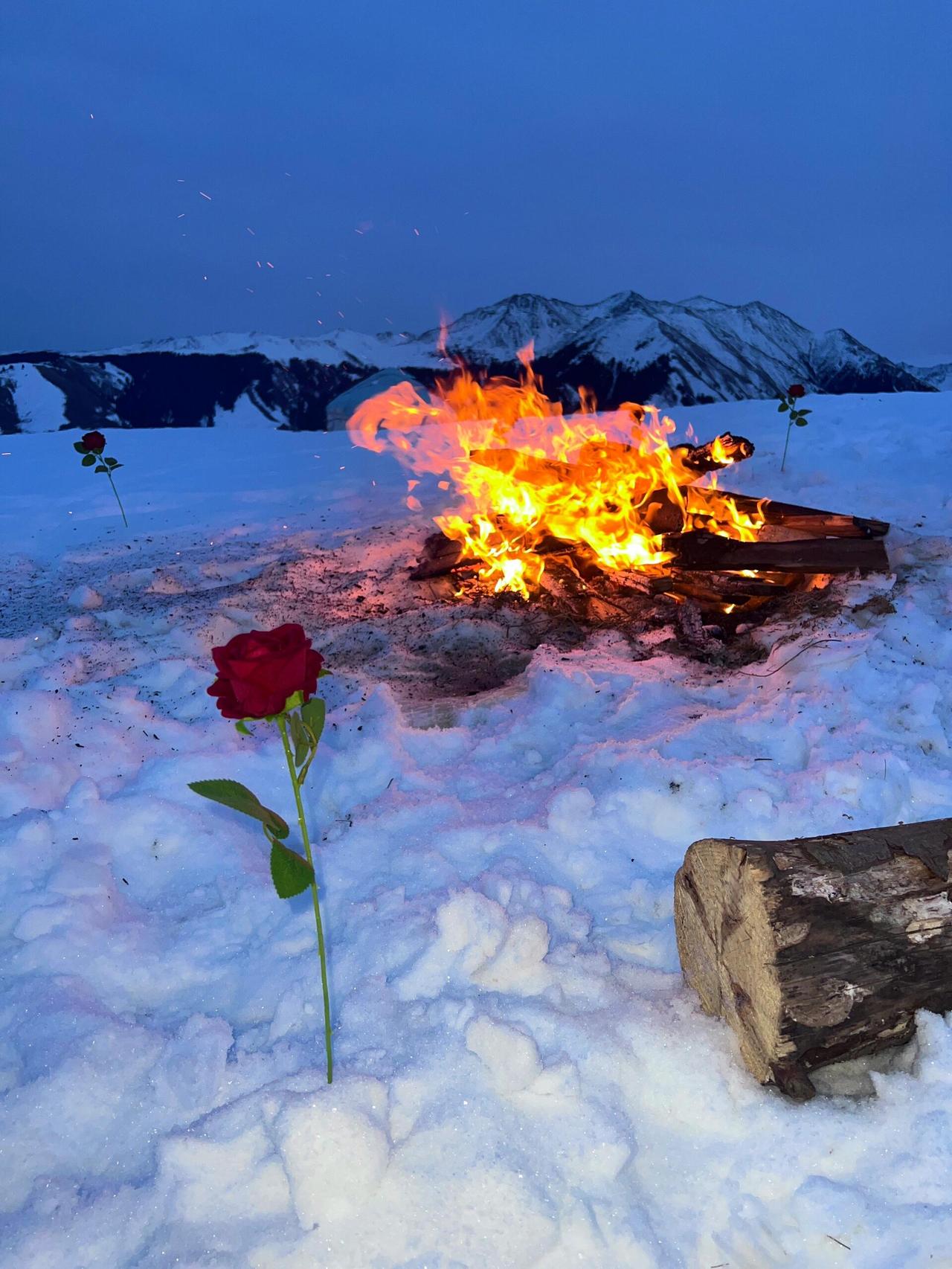 给2025：在时间的渡口，我们以光为桨

你看，那扇被2025年的风，吹了整整一