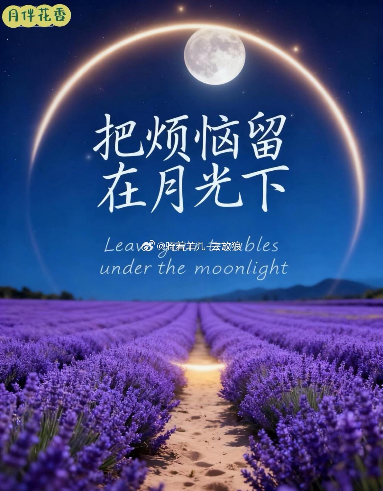 日子在忙忙碌碌中充实，脚步在朝朝暮暮里安稳，卸下白日的疲惫，枕着晚风的温柔入眠。