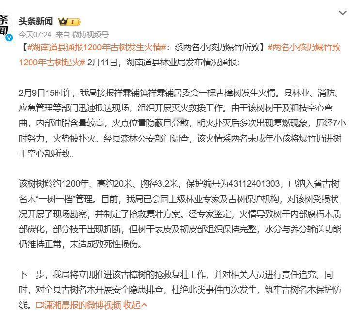 两名小孩扔爆竹致1200年古树起火，活过了1200年，差点毁在小孩手上。
小孩是