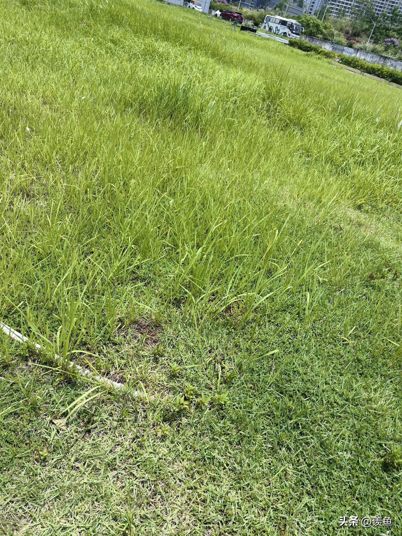 昨晚接到老妈的电话，说叫我不用过去了。。。我一头雾水，后面她说她住院了，我说我都