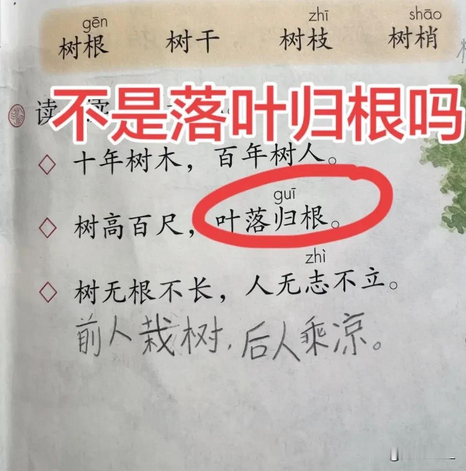 不是落叶归根吗？为啥啊叶落归根？