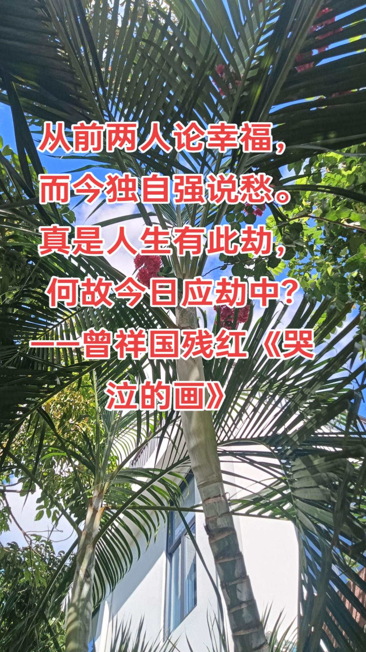 从前两人论幸福，而今独自强说愁。真是人生有此劫，何故今日应劫中?
——曾祥国残红
