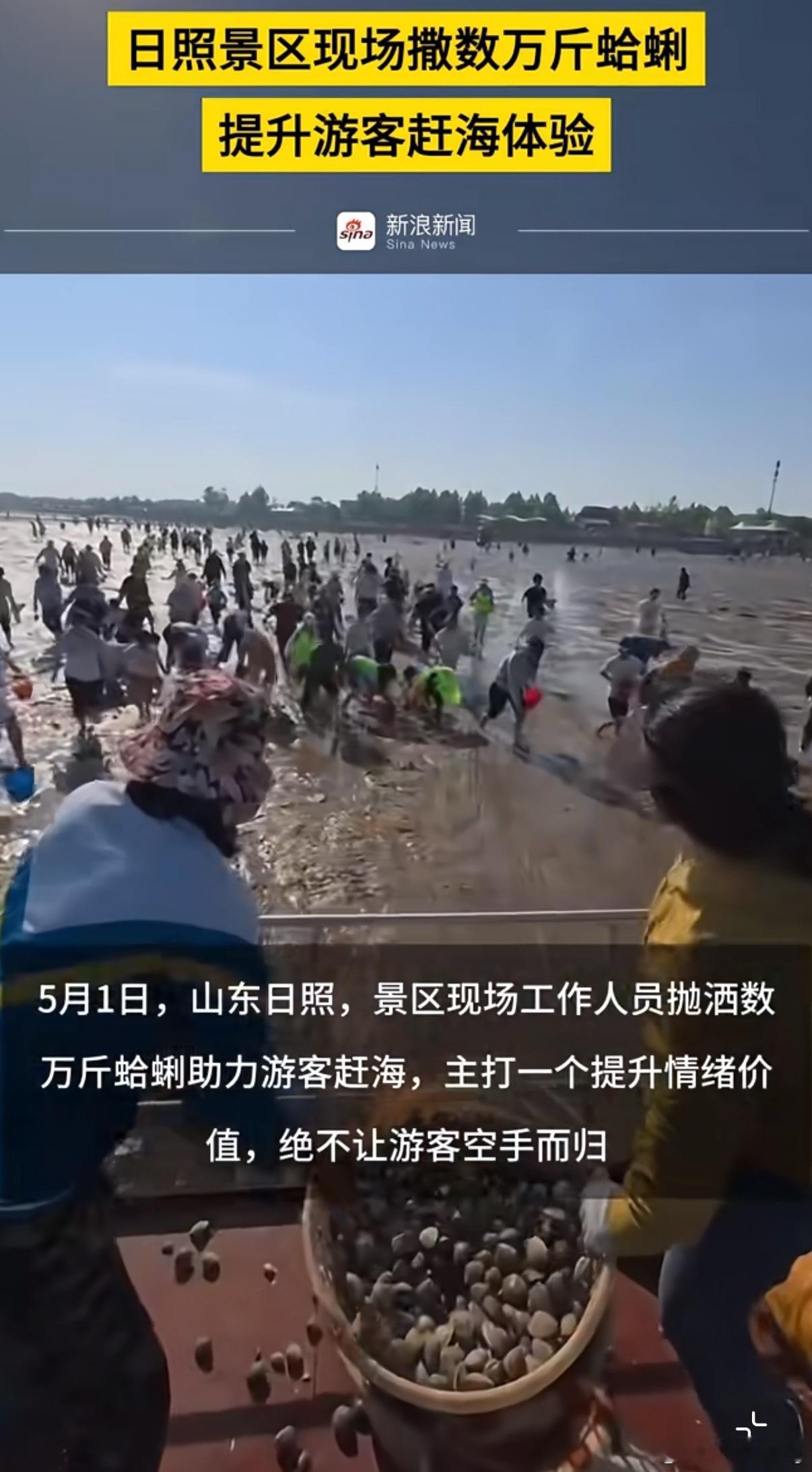 山东日照不允许游客挖不到蛤蜊赶海不是目的，挖蛤蜊不是重点，主要是感受氛围主打一个
