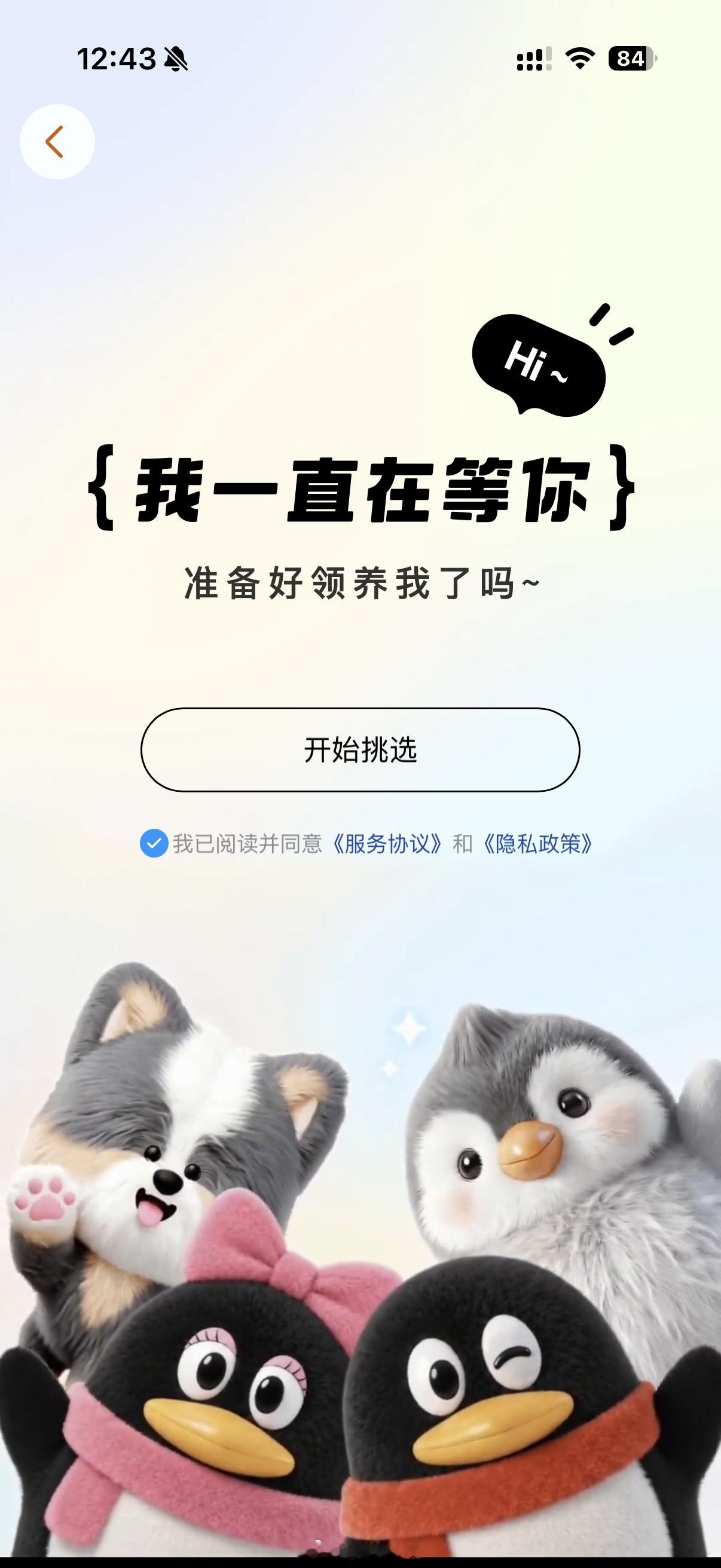 QQ宠物回归上线要是以前的能回归就好了记得当时还会送我的宠物去读书生病死了还氪金