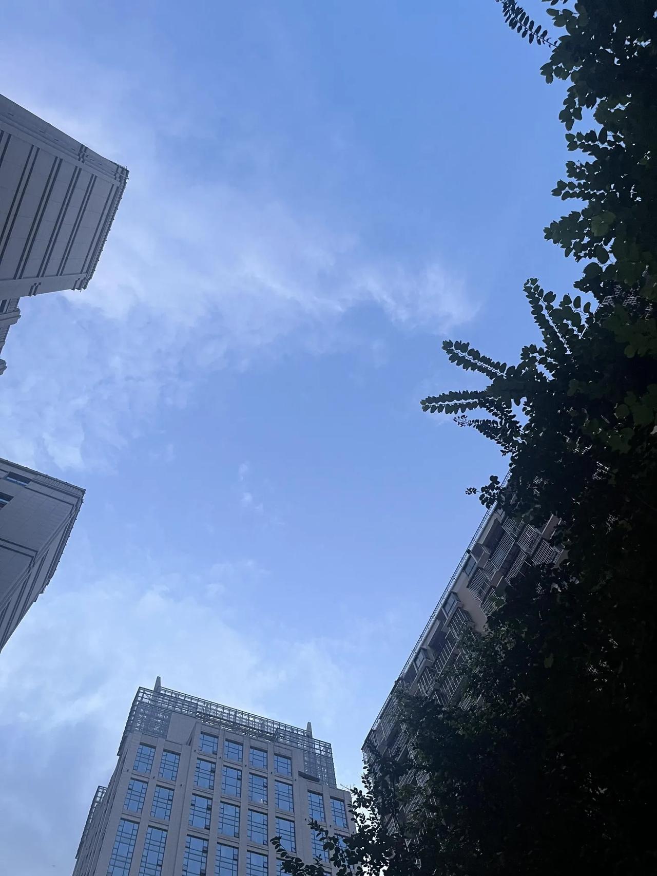 心情不好的时候，不要为难自己。人生除了生死，皆是小事。其实生死，也不算什么大事，